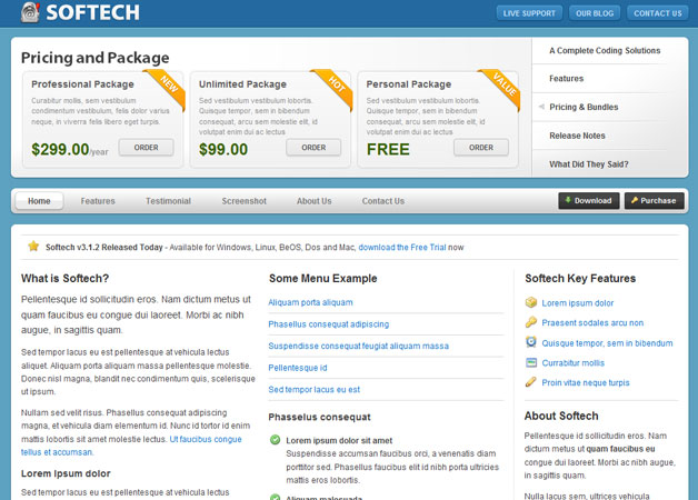 Softech - Software and Hosting Template