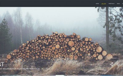 21 New WordPress Themes for Photographers – 2014