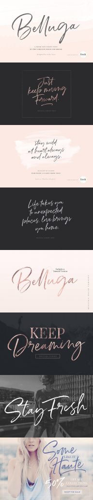 A Fresh New Brush Script Font - Belluga